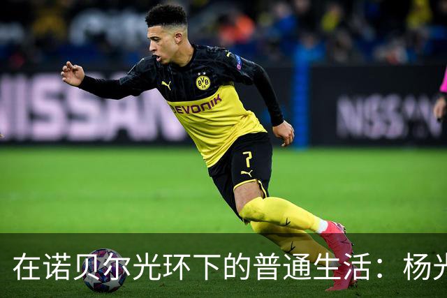 在诺贝尔光环下的普通生活：杨光诺的故事